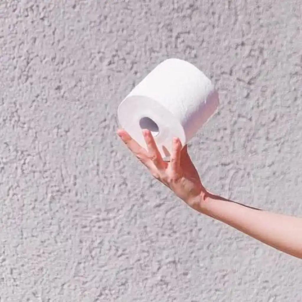 Premier 3 ply Toilet Roll 4 in 1 | 300 pulls