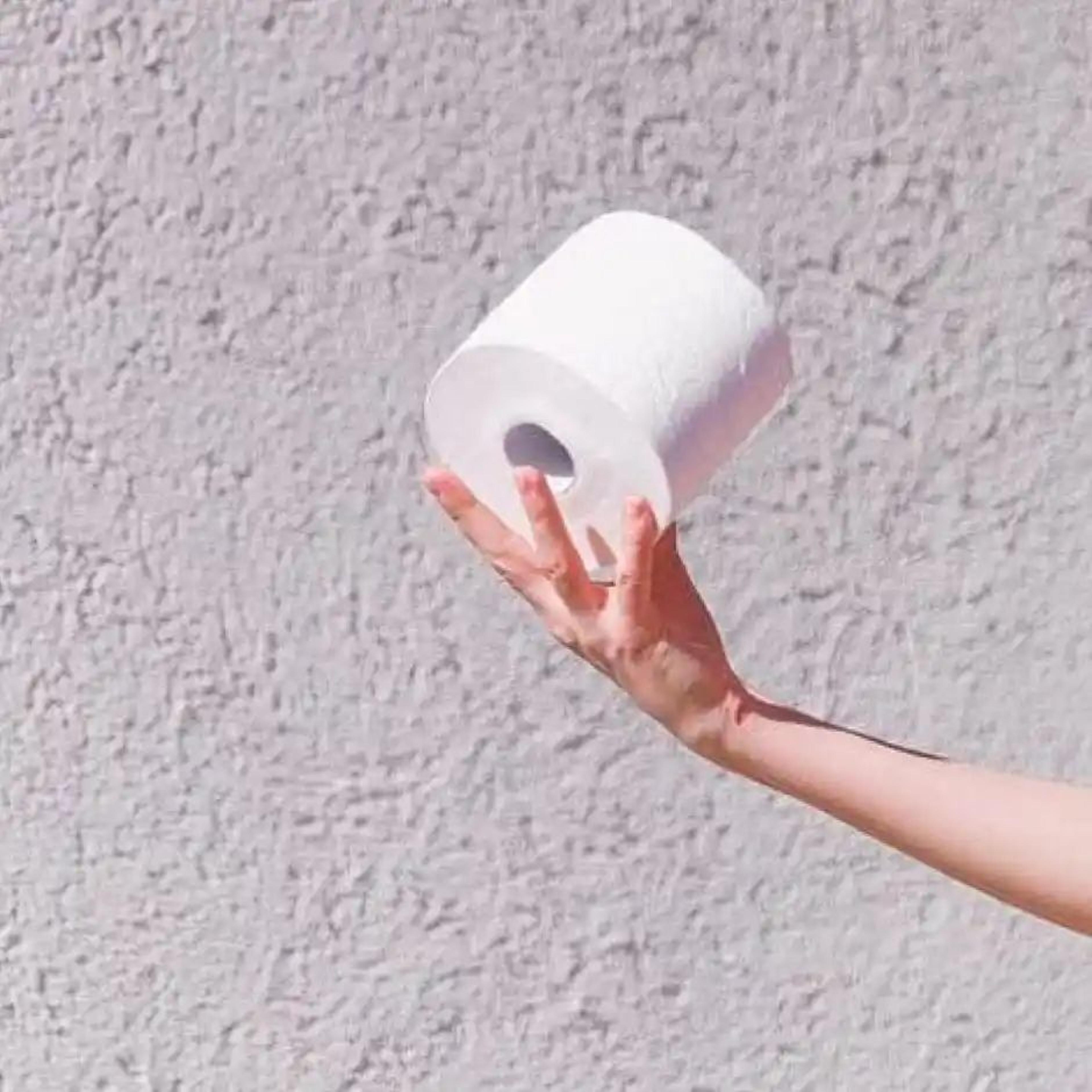Premier 3 ply Toilet Roll 4 in 1 | 300 pulls