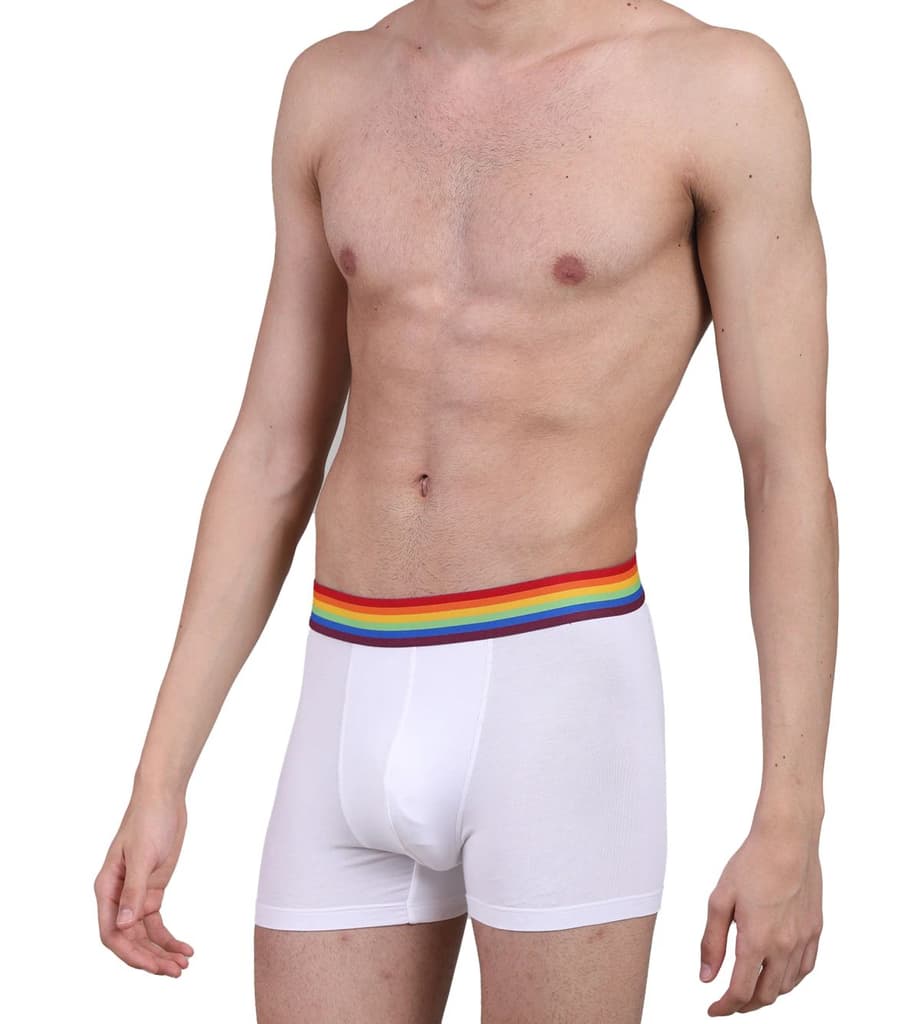 Pride Edition - Men's Anti-Bacterial Micro Modal Trunk (Pack of 1) — photo 4