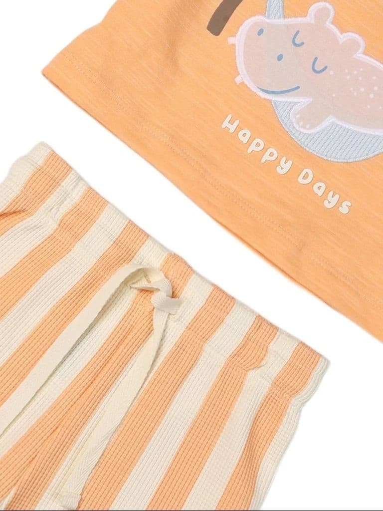 HOP Baby Boys Coral Printed Cotton T-Shirt and Shorts Set — photo 4