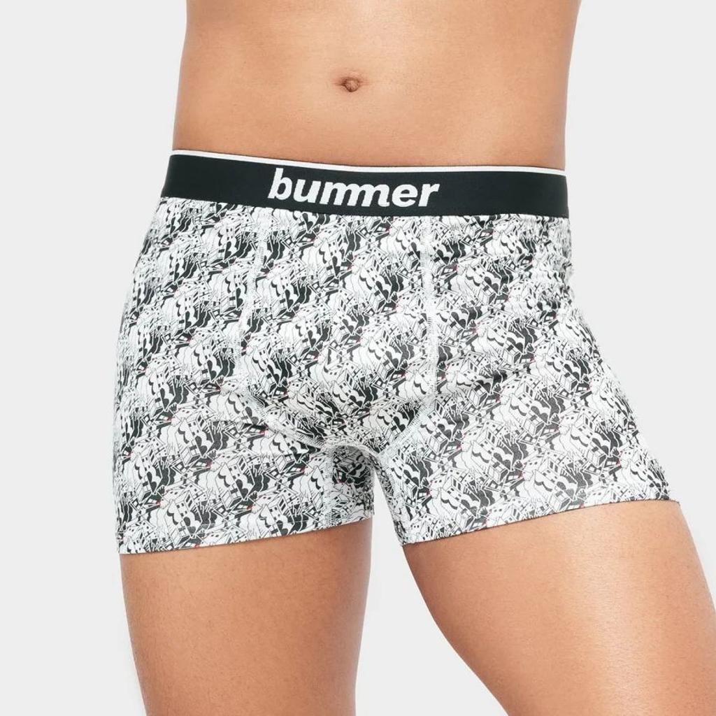 Trunks - Bummer x Santanu