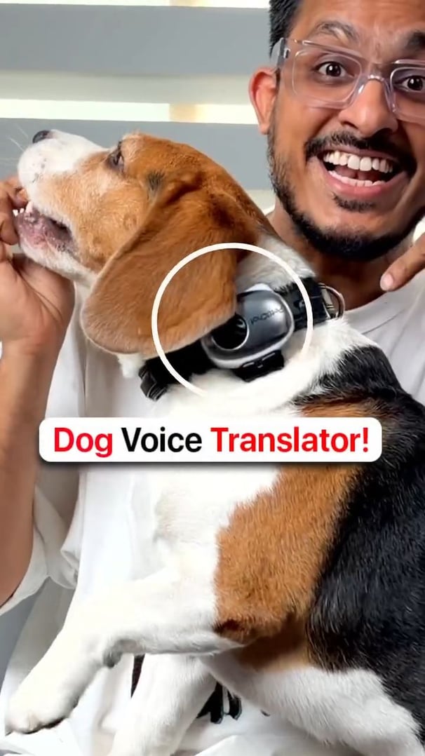 Can This Gadget ACTUALLY Understand My Dog?! 🐶🗣️