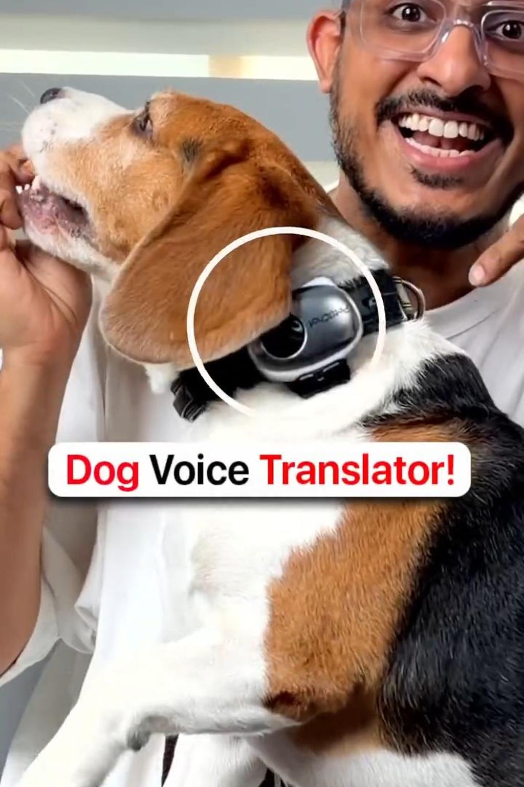 Can This Gadget ACTUALLY Understand My Dog?! 🐶🗣️