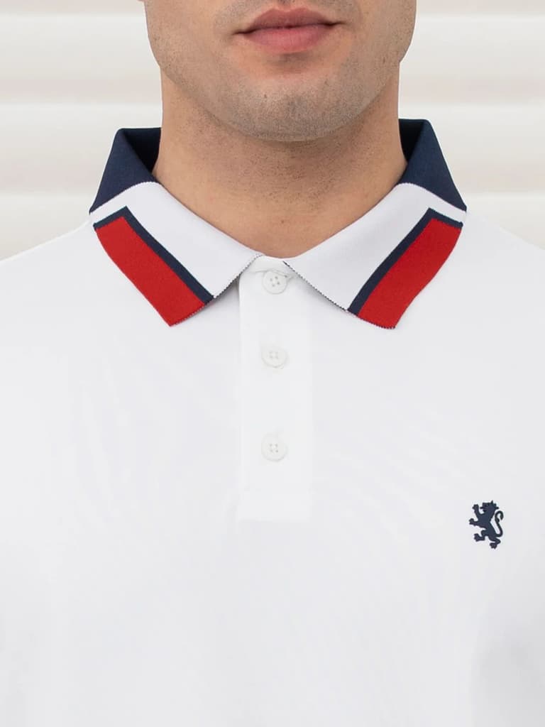 T Shirts for Men in White | Jacquard Collar Polo T Shirt — photo 6