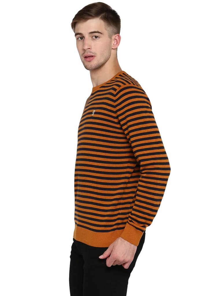 Sweaters for Men in Mustard Navy | Cotton Full Sleeve Sweater — photo 4