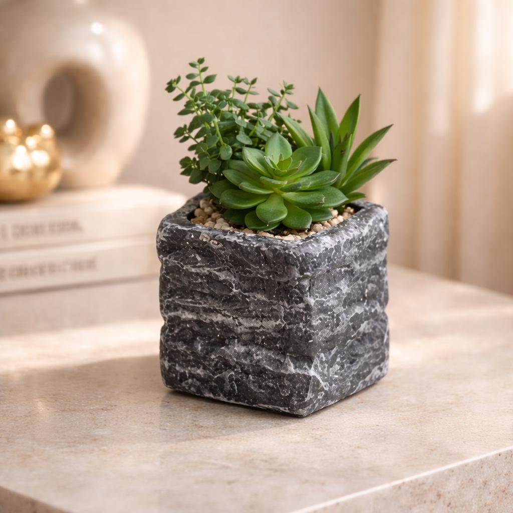 Stone Zen Succulent Pot