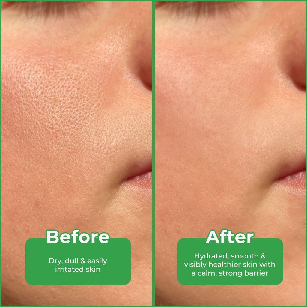 Korean Bamboo Gel Lightweight Hydration for Skin & Hair