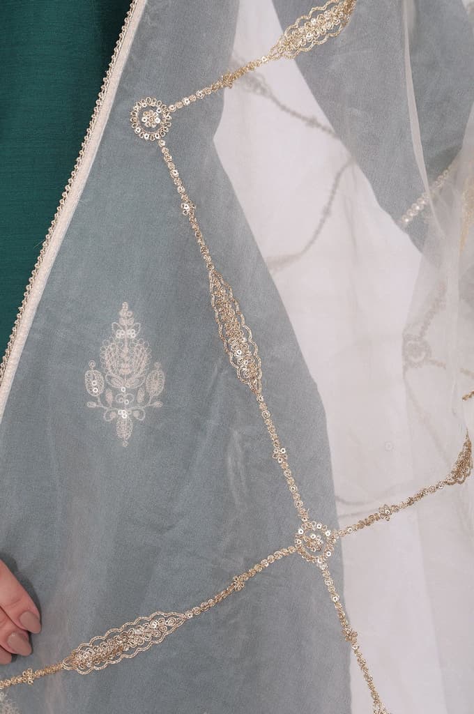 Off-White Embroidered Organza Dupatta — photo 3