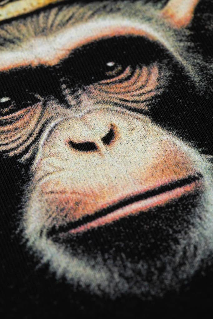 Royal Monkey — photo 8