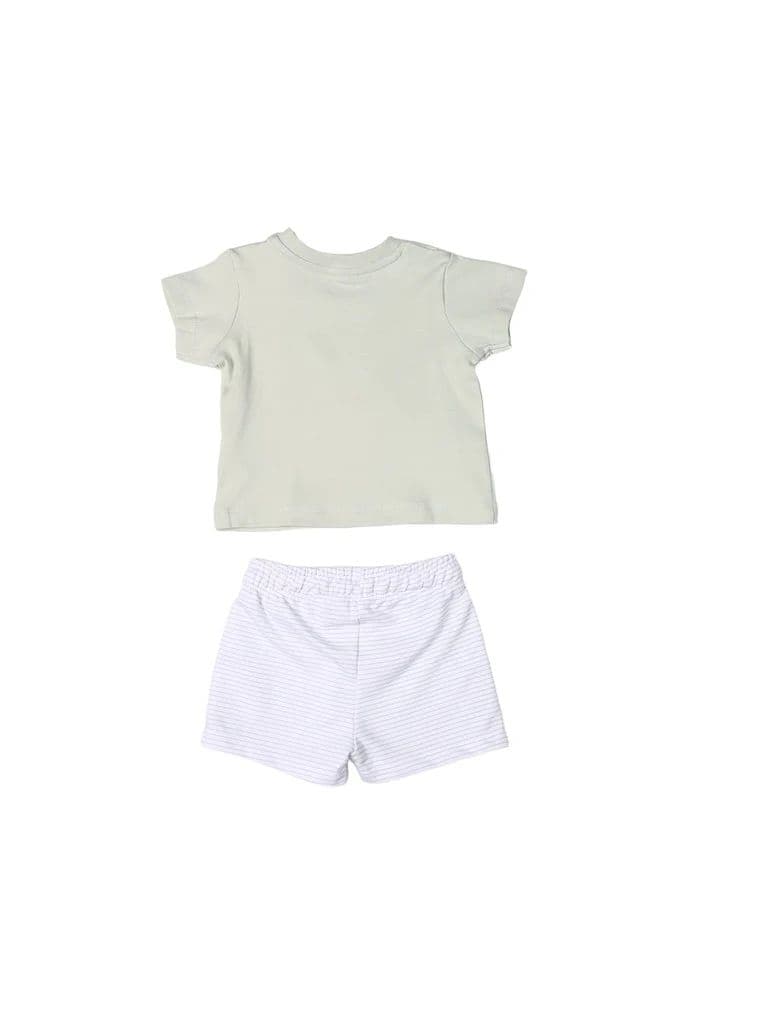 HOP Baby Boys Sage Dinosaur Printed Cotton T-Shirt and Shorts Set — photo 3