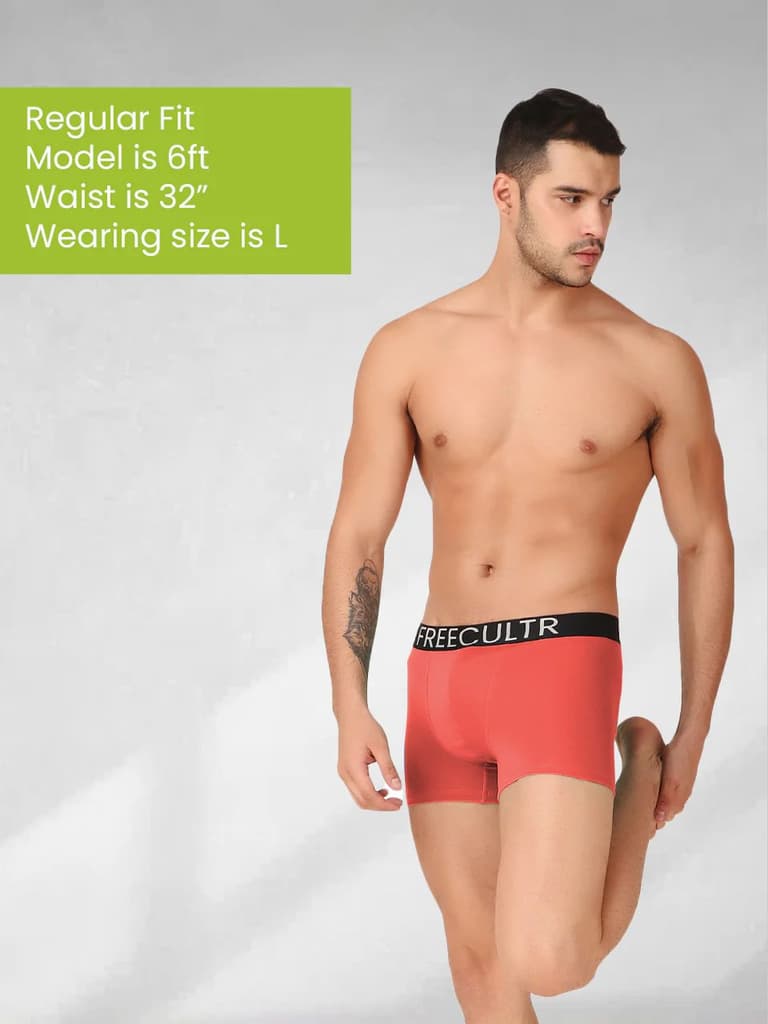 Men's Organic Cotton Trunks Pack of 4 — photo 8