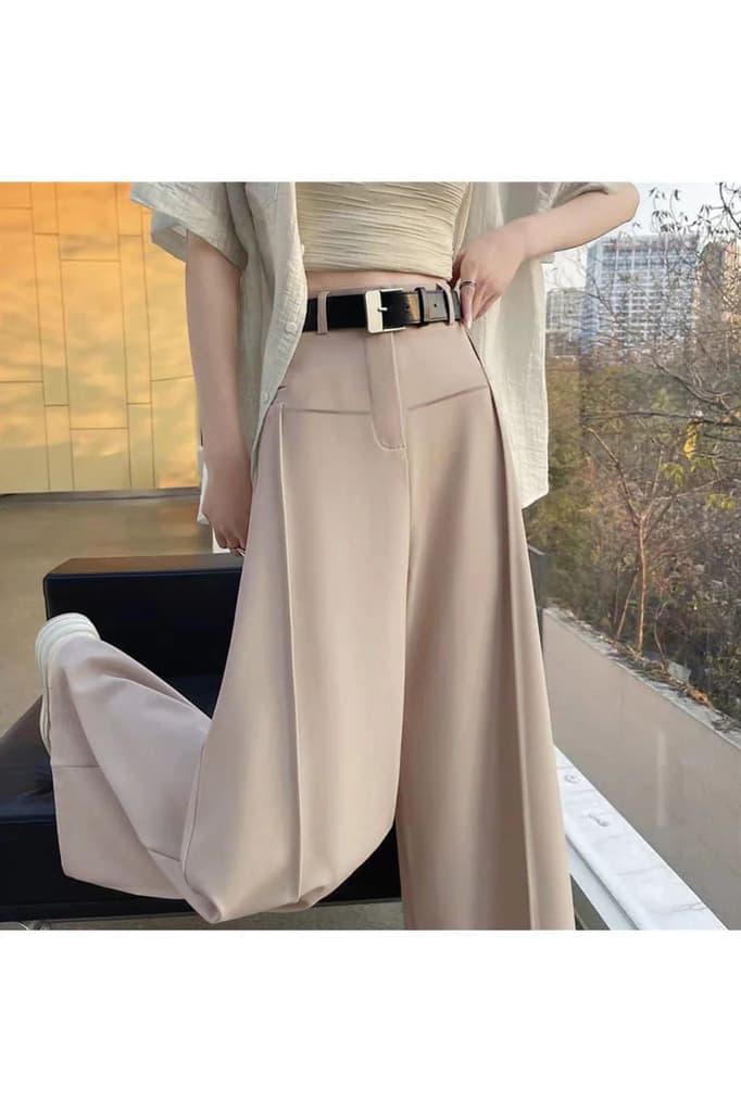 Front Pleat Formation Wide Pants — photo 3
