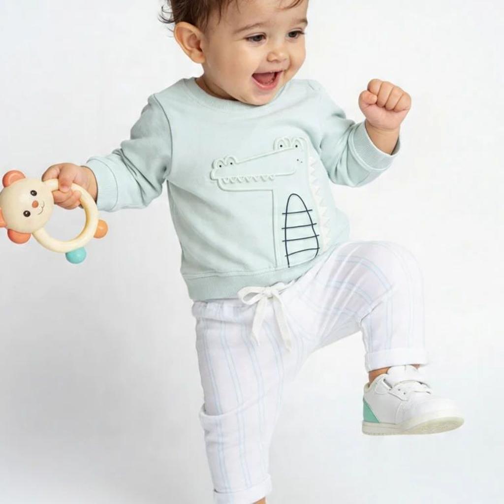 HOP Baby Boys Sage Printed Cotton Sweatshirt and Pants Set