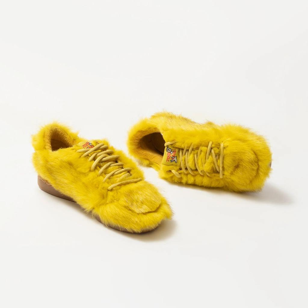 Gully Number 001 “Migration” - Golden Bird — photo 5