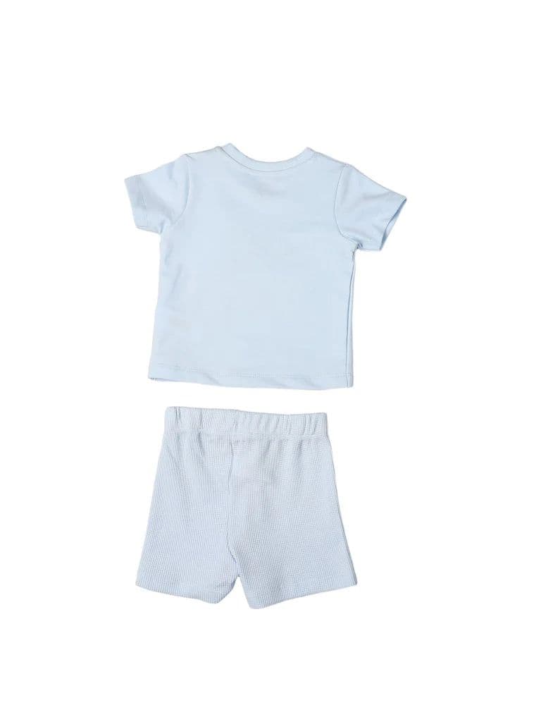HOP Baby Boys Multicolour Printed Cotton T-Shirt and Shorts Set — photo 3