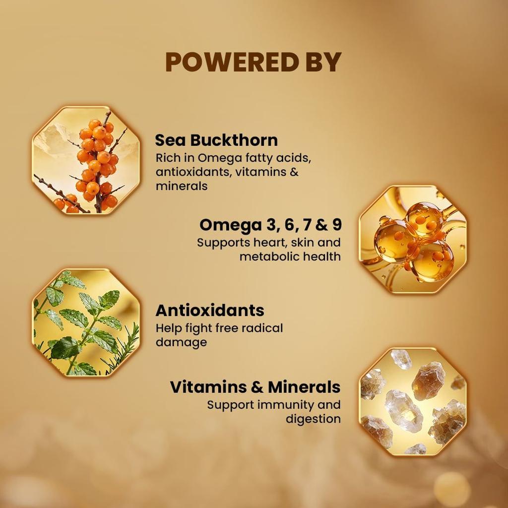 Himalayan Sea Buckthorn Berry Pulp Concentrate Nutrient-Dense