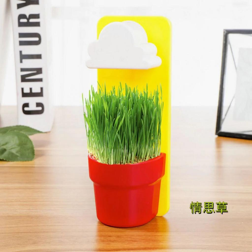 Rainy Cloud Pot – Wall Mounted Self-Watering Planter for Kids n Home Decor — photo 6