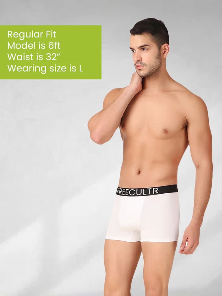 Men's Organic Cotton Trunks Pack of 2 — photo 8
