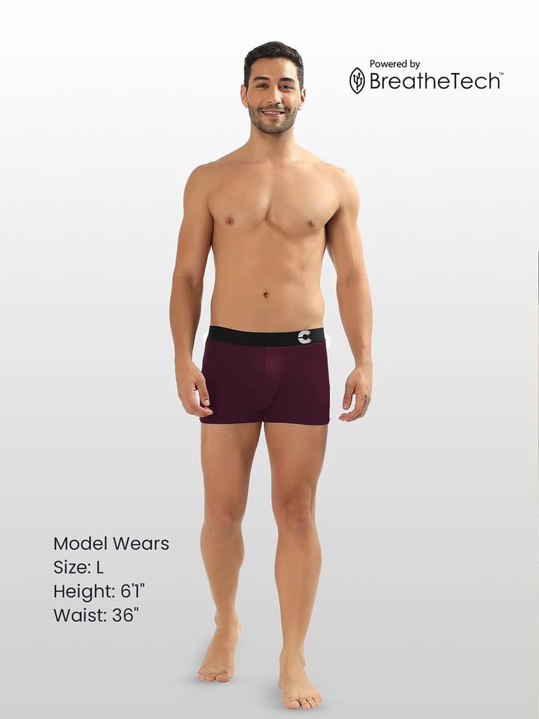 Men's Anti-Bacterial Micro Modal Trunk (Pack of 2) — photo 10