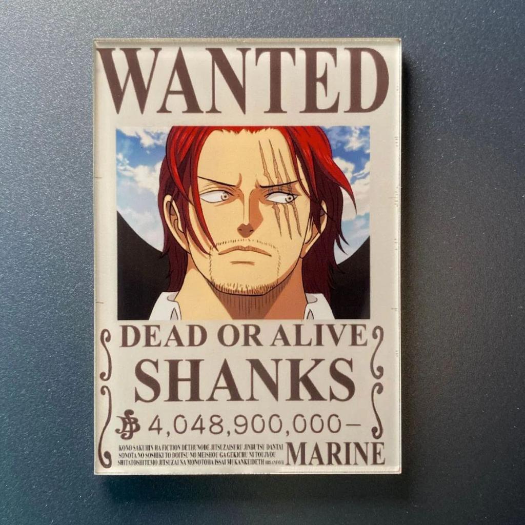 Latest Bounty Fridge Magnet | One Piece Anime Collectible Magnets — photo 15