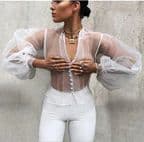 Chic Ballon Sleeves Organza Shirt — photo 7