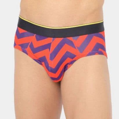 Brief - Chevron