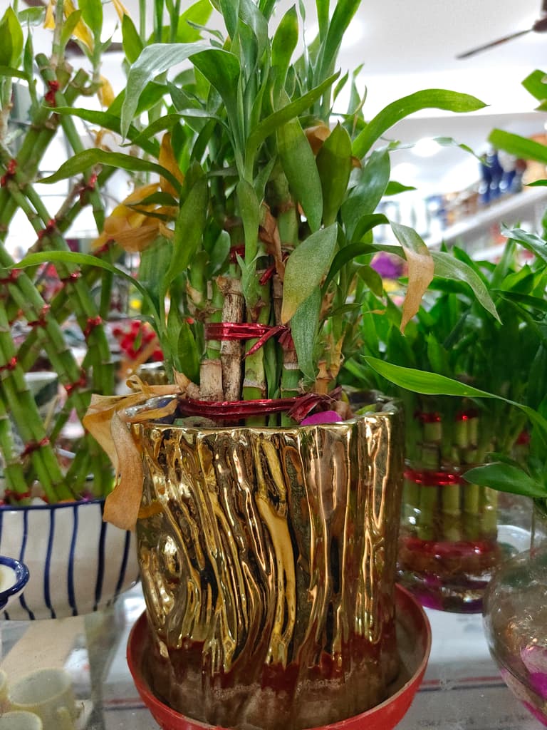Gold Vase with Red Flowers | Decorative | Ceramic | Gold