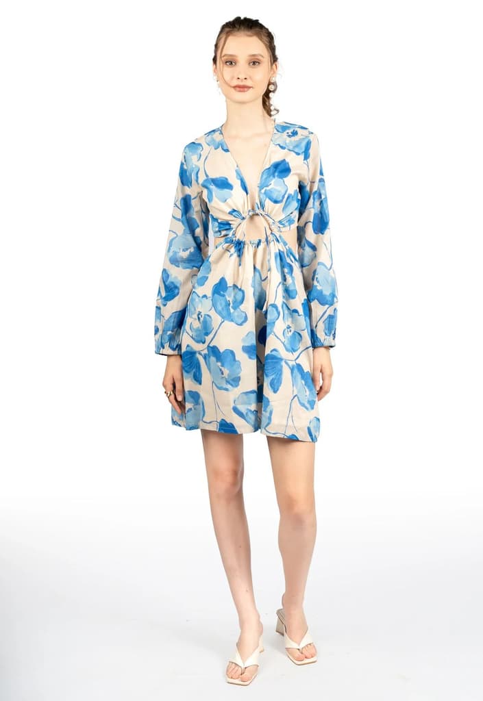 Blue & Beige Floral Cotton Cambric Fit & Flare Dress