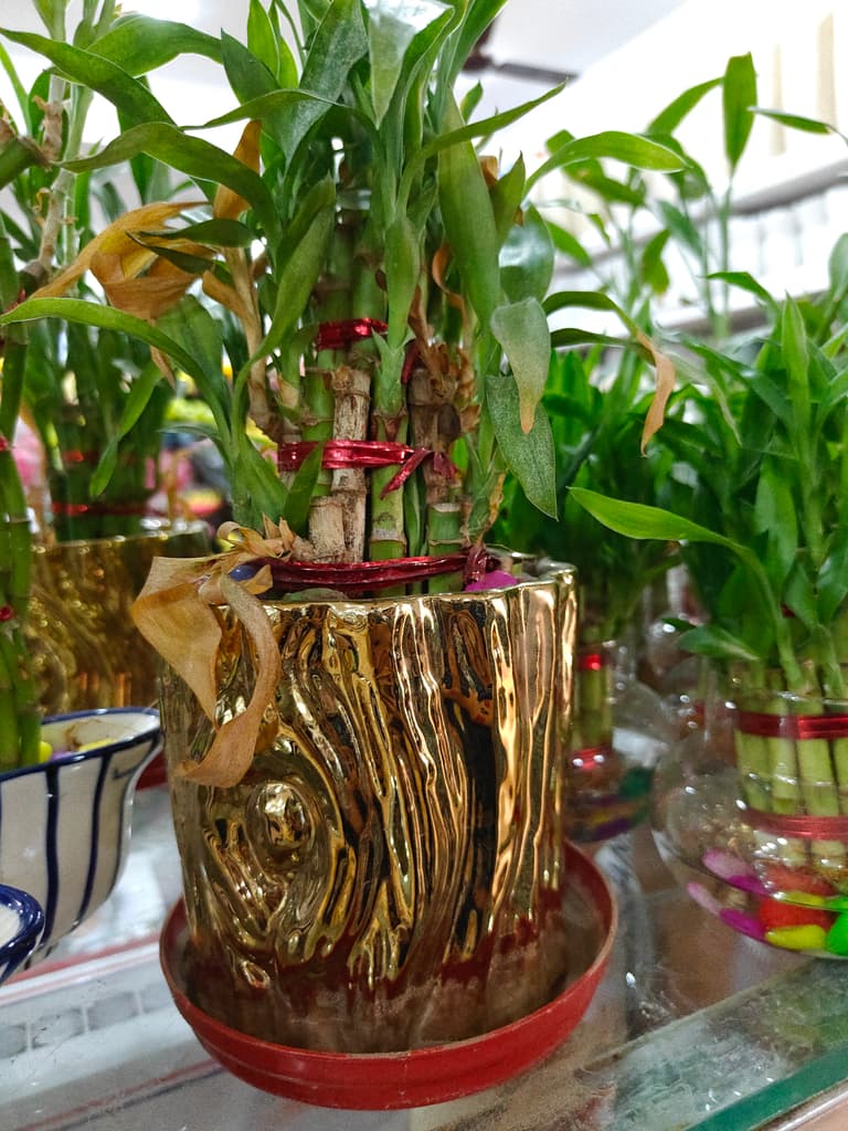 Gold Vase with Red Flowers | Decorative | Ceramic | Gold