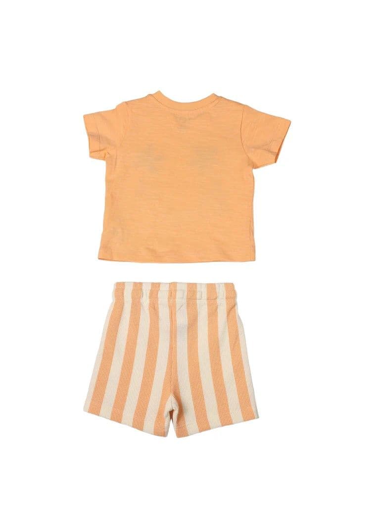 HOP Baby Boys Coral Printed Cotton T-Shirt and Shorts Set — photo 3