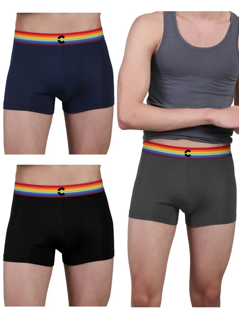 Pride Edition - Men's Anti-Bacterial Micro Modal Trunk (Pack of 3) — Pride Grey; Pride Blue; Pride Black / S / Men