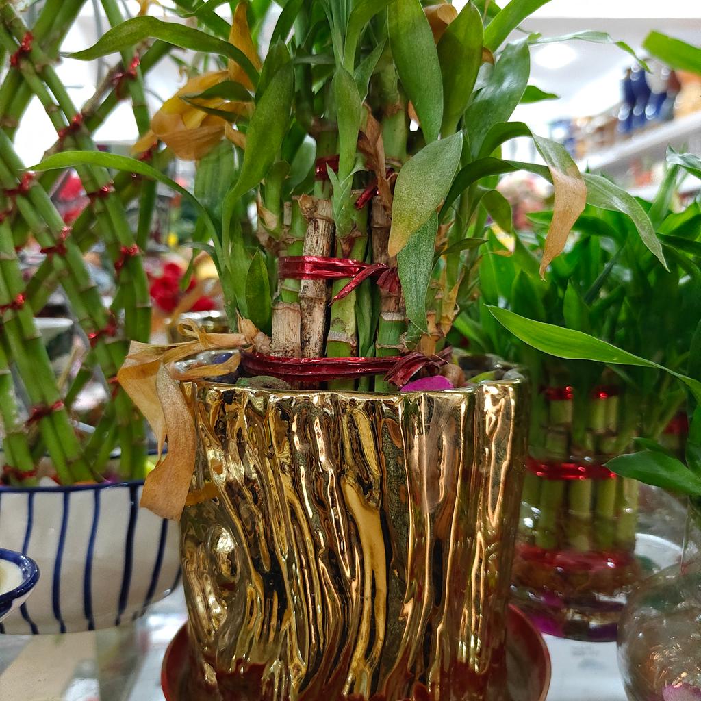 Gold Vase with Red Flowers | Decorative | Ceramic | Gold