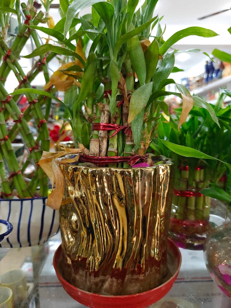 Gold Vase with Red Flowers | Decorative | Ceramic | Gold