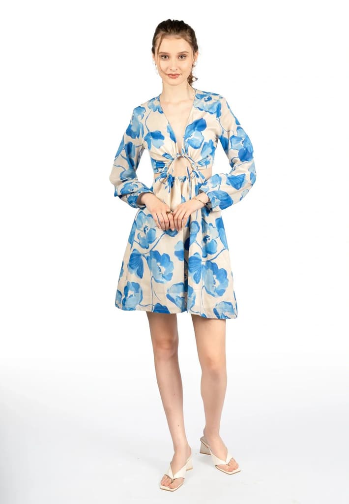 Blue & Beige Floral Cotton Cambric Fit & Flare Dress — photo 5