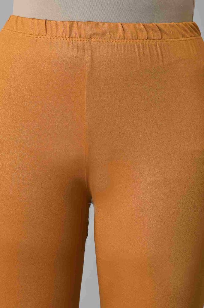 Brown Poly Lycra Women Churidar — photo 6
