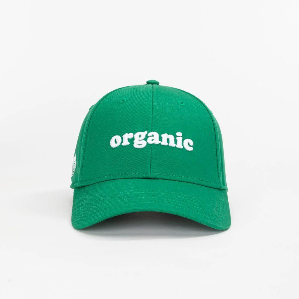 Organic — photo 3