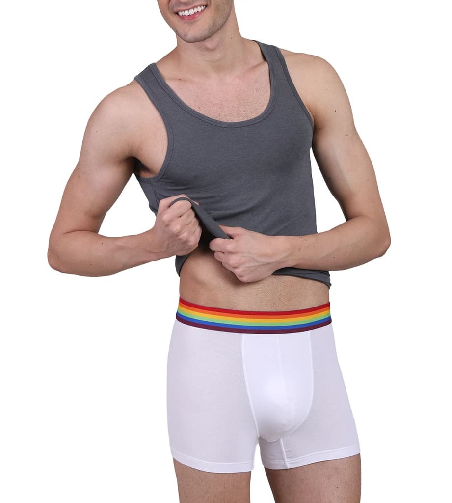 Pride Edition - Men's Anti-Bacterial Micro Modal Trunk (Pack of 1) — photo 8