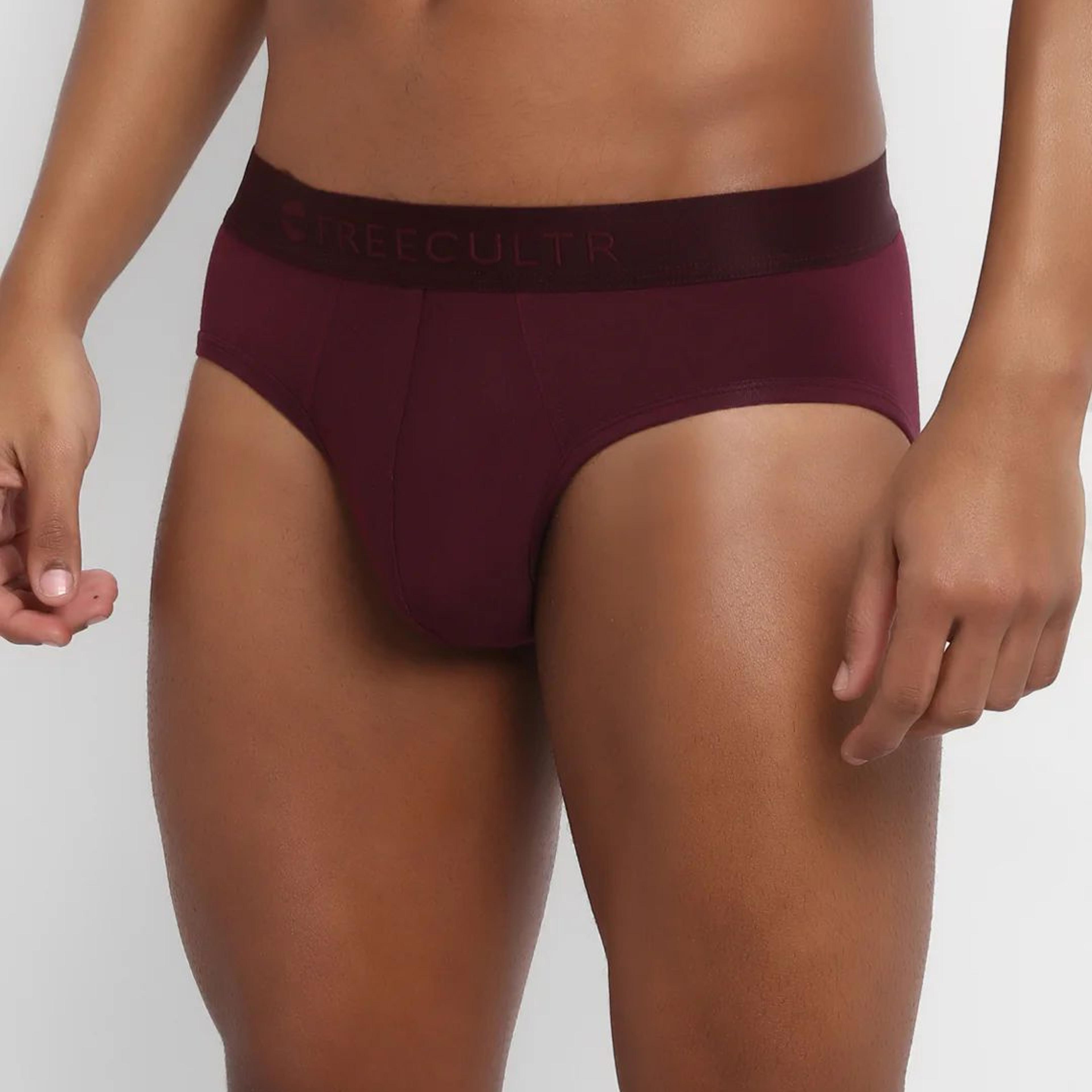 Men's Anti-Bacterial Micro Modal Brief in Solid Waistband (Pack of 1)