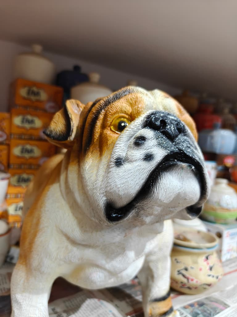 Bulldog Mascot Mask | Plastic | White | Humorous