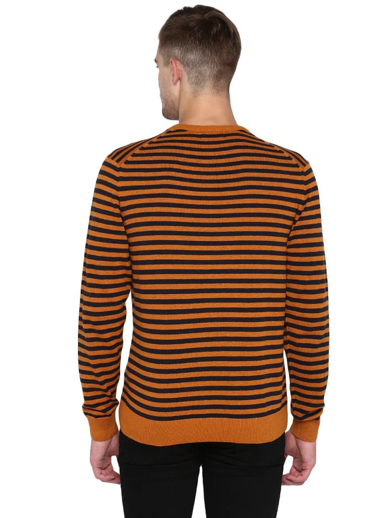 Sweaters for Men in Mustard Navy | Cotton Full Sleeve Sweater — photo 3