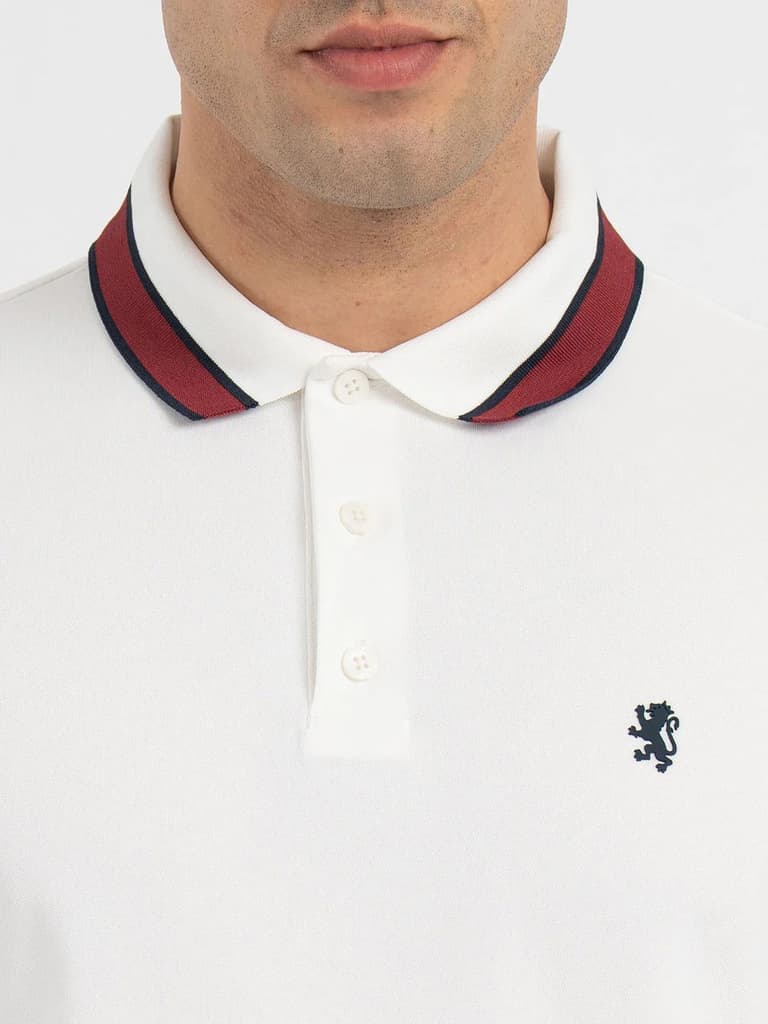 Polo T Shirts for Men in White | Half Sleeve T Shirt — photo 4