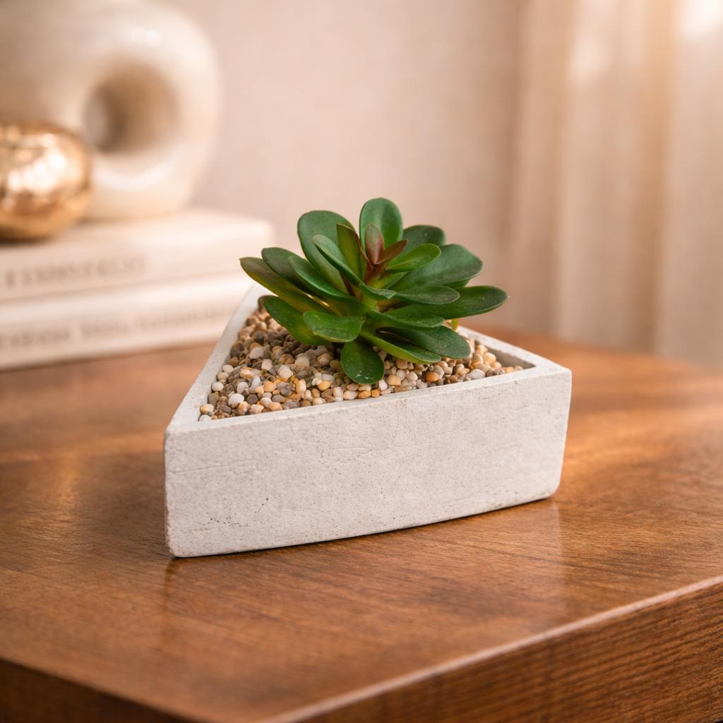 Serene Triangle Succulent