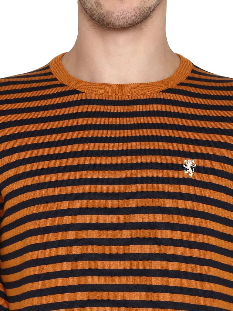Sweaters for Men in Mustard Navy | Cotton Full Sleeve Sweater — photo 5