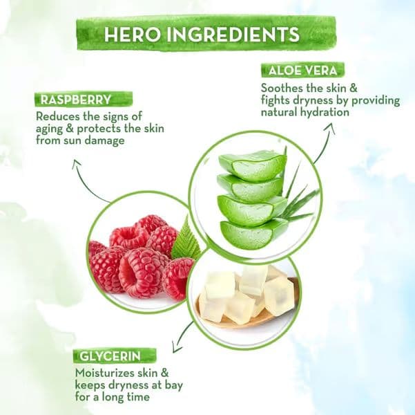 HydraGel Indian Sunscreen with Aloe Vera & Raspberry for Sun Protection - 50 g - Pack of 2