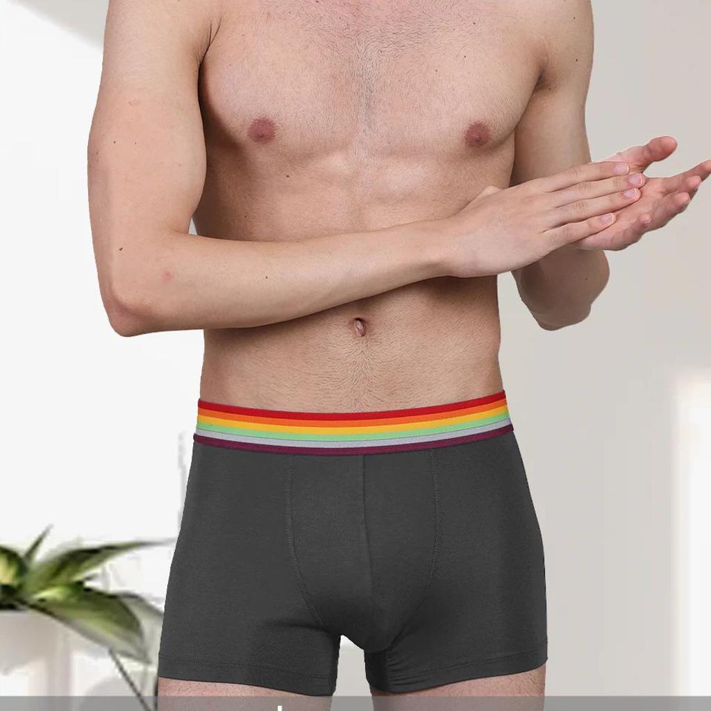 Pride Edition - Men's Anti-Bacterial Micro Modal Trunk (Pack of 1)