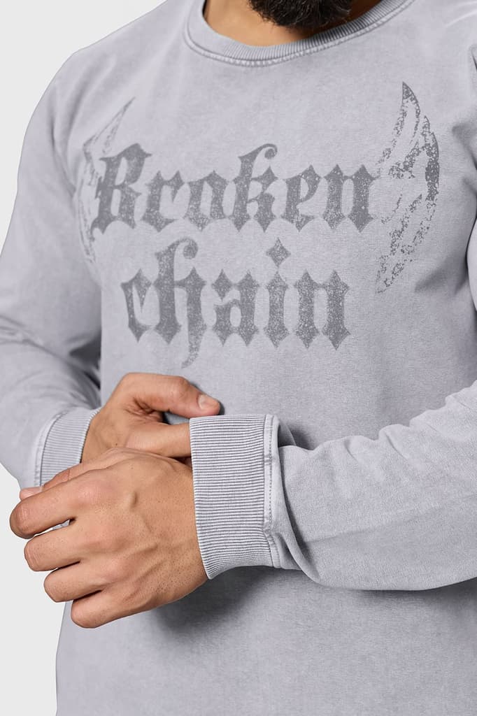 Shadow Washed Sweatshirt Light Grey — photo 3