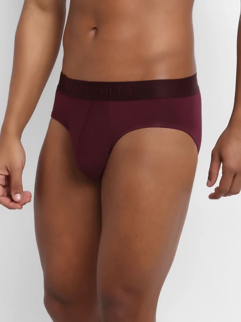Men's Anti-Bacterial Micro Modal Brief in Solid Waistband (Pack of 1) — photo 2