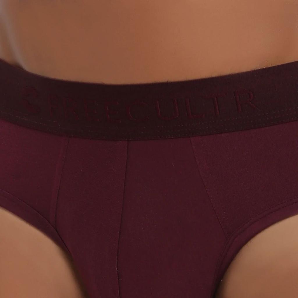 Men's Anti-Bacterial Micro Modal Brief in Solid Waistband (Pack of 3) — photo 7