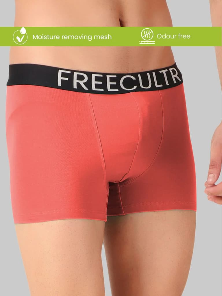 Men's Organic Cotton Trunks Pack of 4 — photo 6