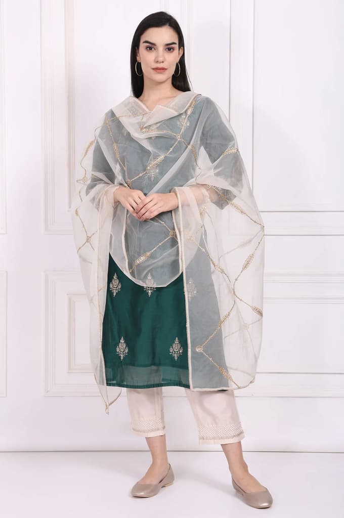 Off-White Embroidered Organza Dupatta — photo 2